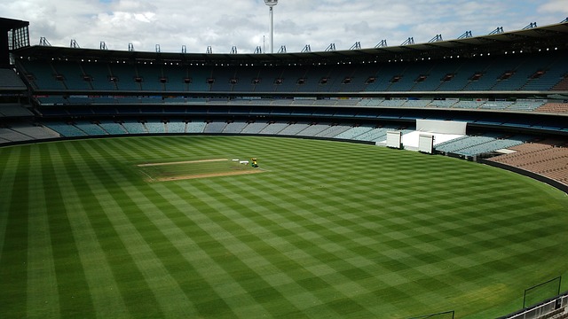 它更是一种 它更是一种