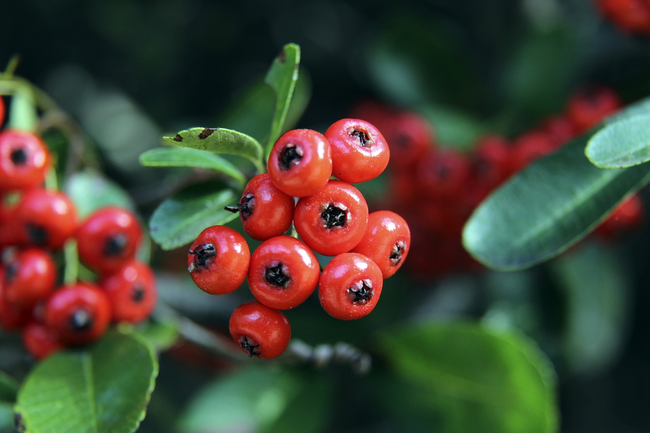 打破世界纪 打破世界纪