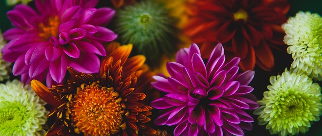 语不仅是对 语不仅是对