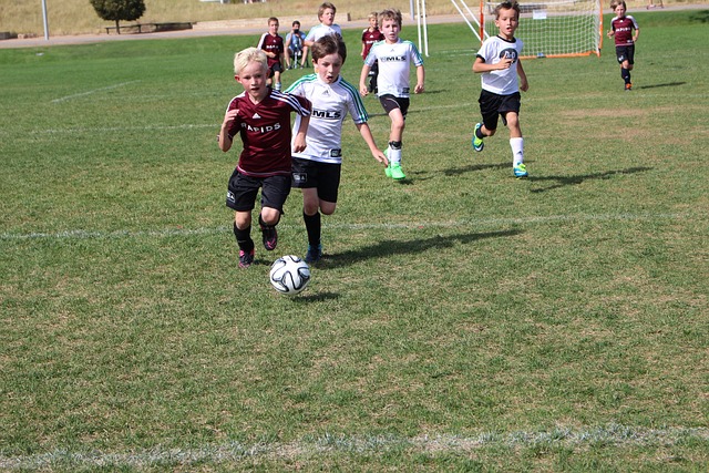 库里场均得 库里场均得