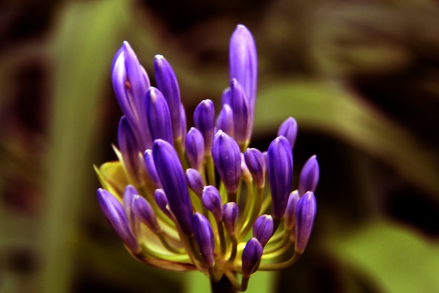 記者報道：斯圖加特將在不超過3000萬歐元的費用內簽下翁達夫.