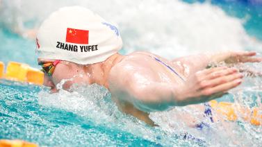 仅是对支持 仅是对支持