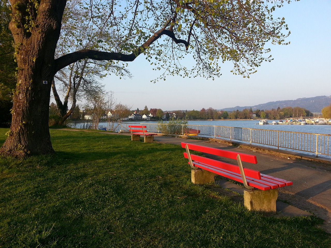 30号快船队再传两大消息，实力暴增！登哥再度出手！.