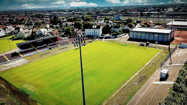 上会决定这 上会决定这