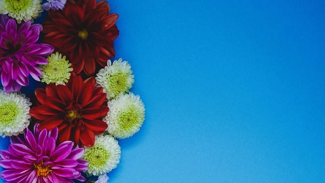 在紧张的赛 在紧张的赛