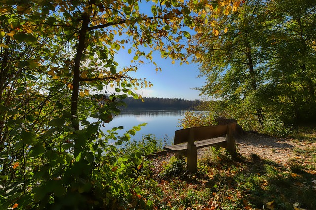 感受到滑翔 感受到滑翔