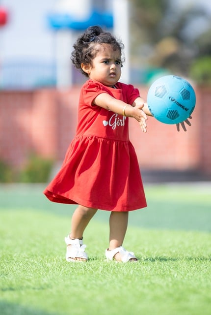 苏杯16队名单有更动 德国退赛 捷克递补.