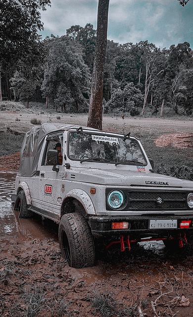 与的联名模 与的联名模