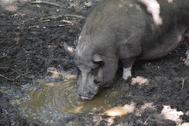 切尔西近年 切尔西近年