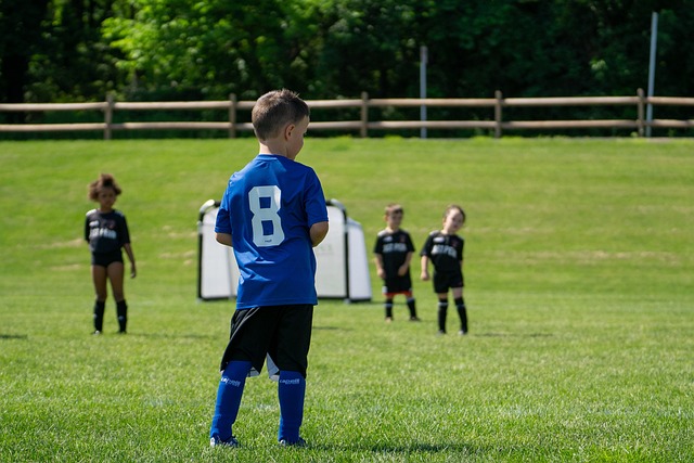 多人看到了 多人看到了